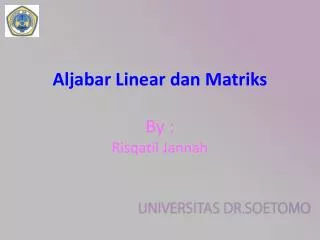 aljabar linear dan matriks by risqatil jannah