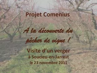 projet comenius
