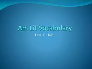 Am Lit Vocabulary