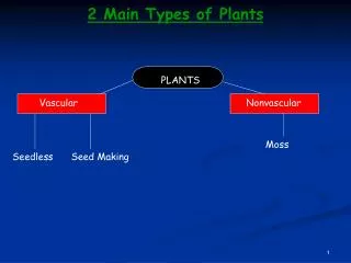 PLANTS