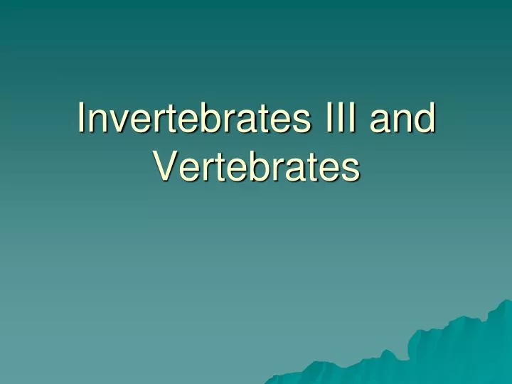 invertebrates iii and vertebrates