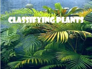 Classifying Plants