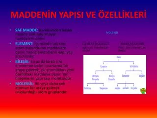 madden n yapisi ve zell kler