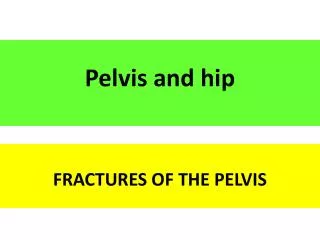 Pelvis and hip