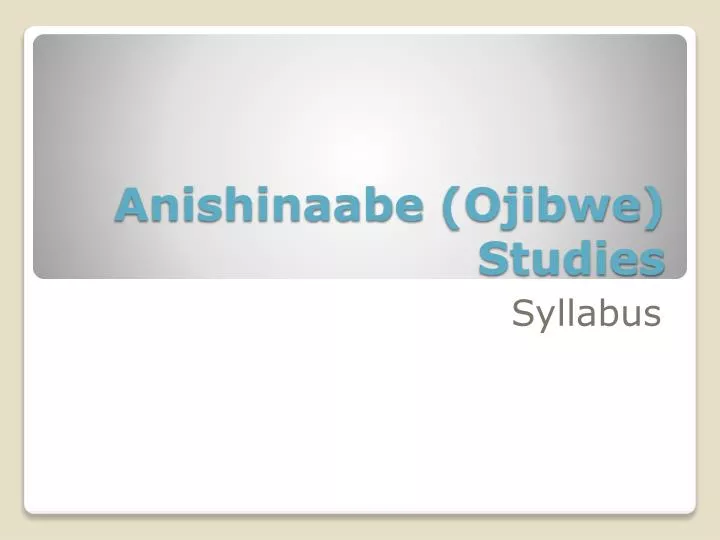 anishinaabe ojibwe studies