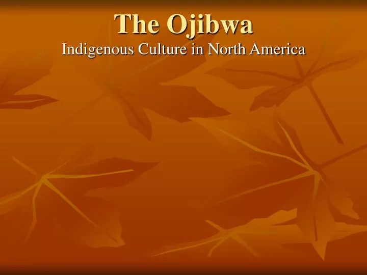the ojibwa