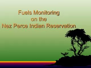 Fuels Monitoring on the Nez Perce Indian Reservation