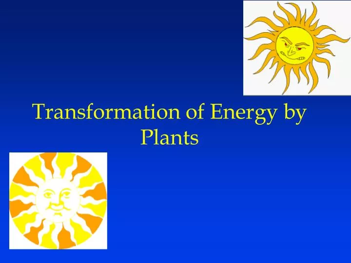transformation of energy by plants
