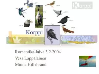 korppi