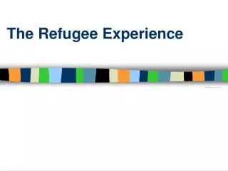 The Refugee Experience