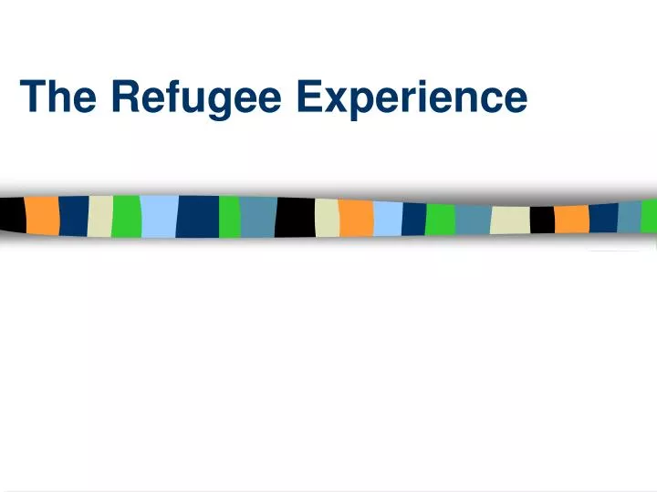 the refugee experience