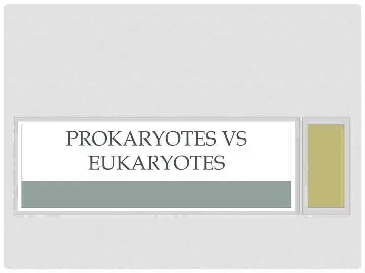 prokaryotes vs eukaryotes