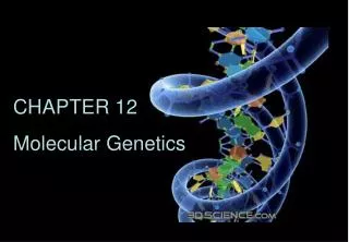 CHAPTER 12 Molecular Genetics