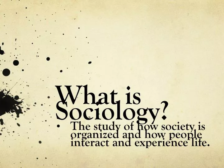 what is sociology