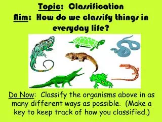 Topic : Classification Aim : How do we classify things in everyday life?