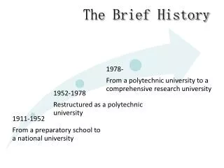 The Brief History