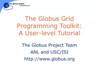 The Globus Grid Programming Toolkit: A User-level Tutorial