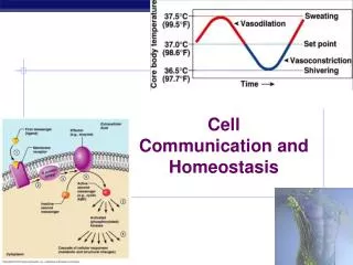 Cell Communication and Homeostasis