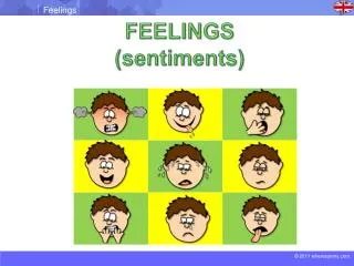FEELINGS (sentiments)