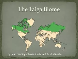 The Taiga Biome