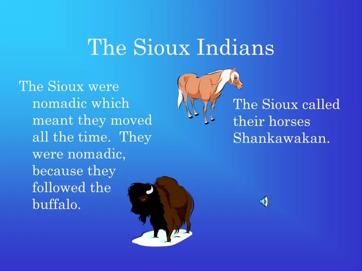 the sioux indians