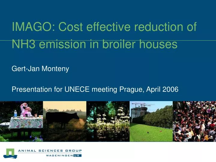 imago cost effective reduction of nh3 emission in broiler houses