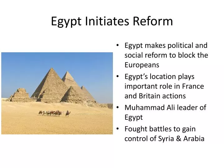 egypt initiates reform