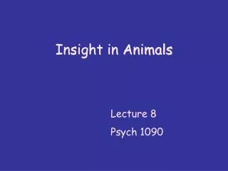 Insight in Animals