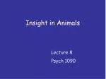 PPT - Animals of Siberia PowerPoint Presentation, free download - ID ...