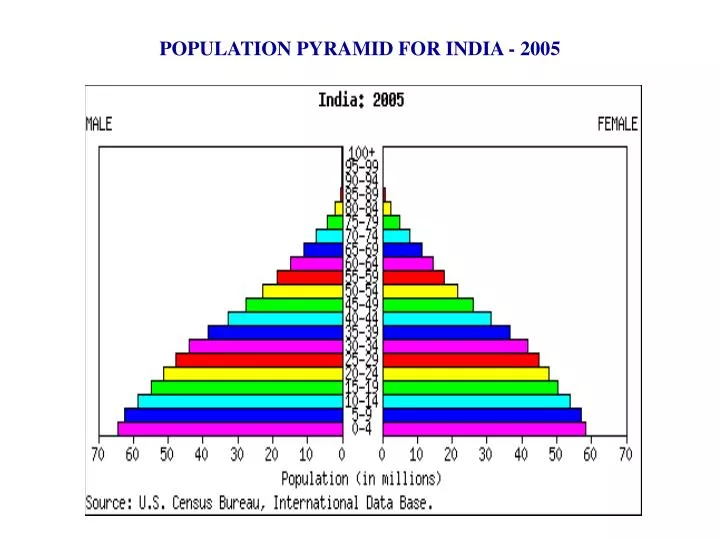 population pyramid for india 2005