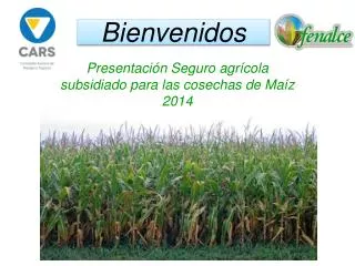bienvenidos