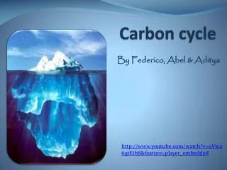 Carbon cycle