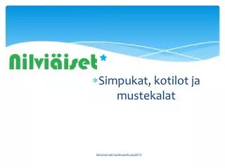 simpukat kotilot ja mustekalat