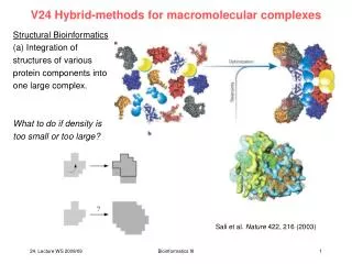 V24 Hybrid-methods for macromolecular complexes
