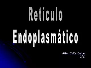 aitor col s dalda 2 c
