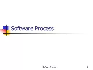 Software Process