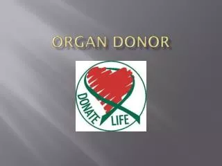 Organ Donor