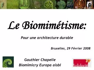 le biomim tisme