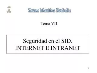 seguridad en el sid internet e intranet