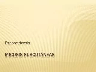 esporotricosis