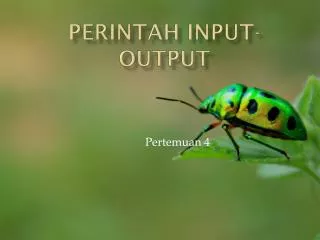 perintah input output