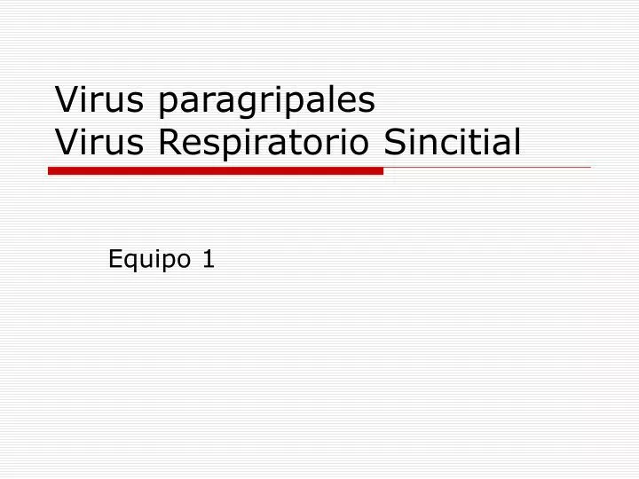 virus paragripales virus respiratorio sincitial