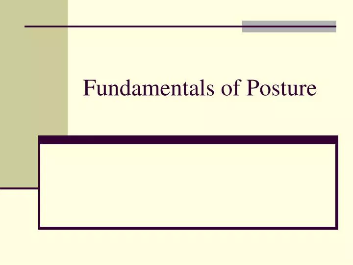 fundamentals of posture