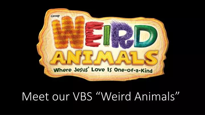 meet our vbs weird animals