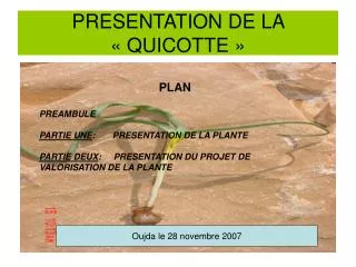 presentation de la quicotte