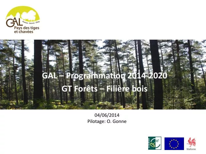 gal programmation 2014 2020 gt for ts fili re bois