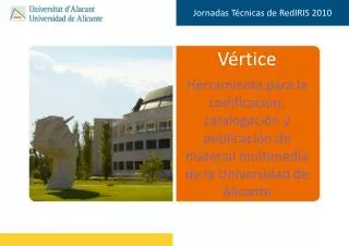 v rtice