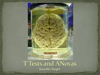 T Tests and ANovas