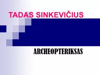 tadas sinkevi ius