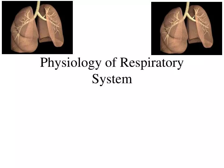 physiology of respiratory system